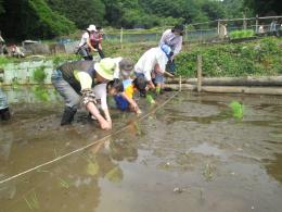 田植え体験をしました。